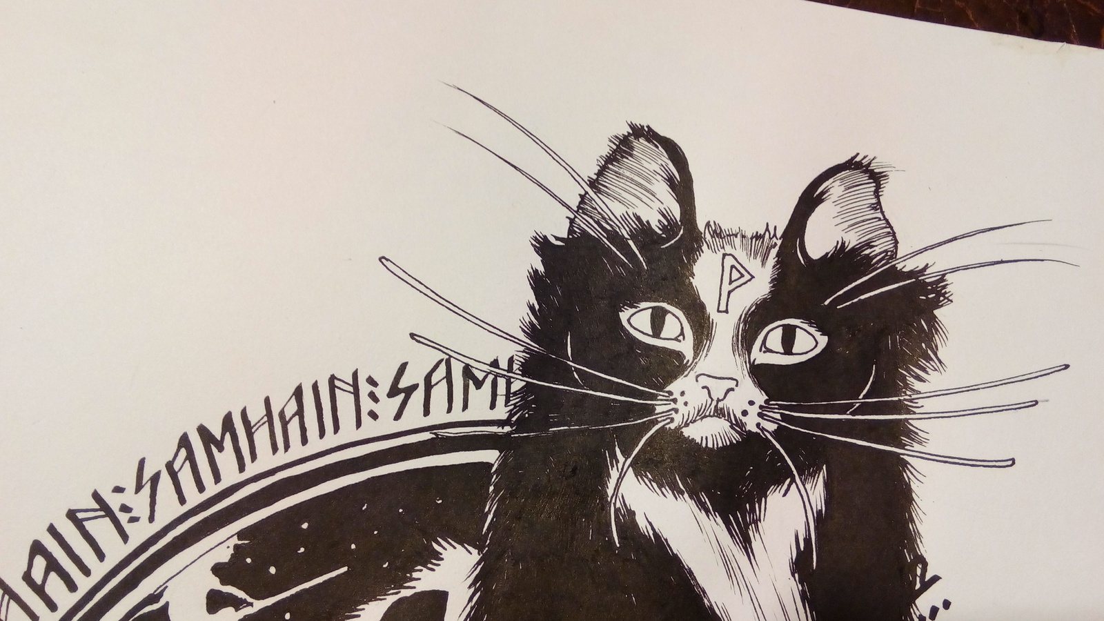 Samhain cat - My, cat, Creation, Graphics, Mascara, Wheel of the Year, Artist, Longpost