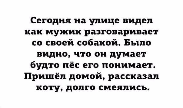 Проверим пикабу на адекватность шуток и которпригодность - Баян, Не судите строго, Чуть не забыл:, Кот, Повтор