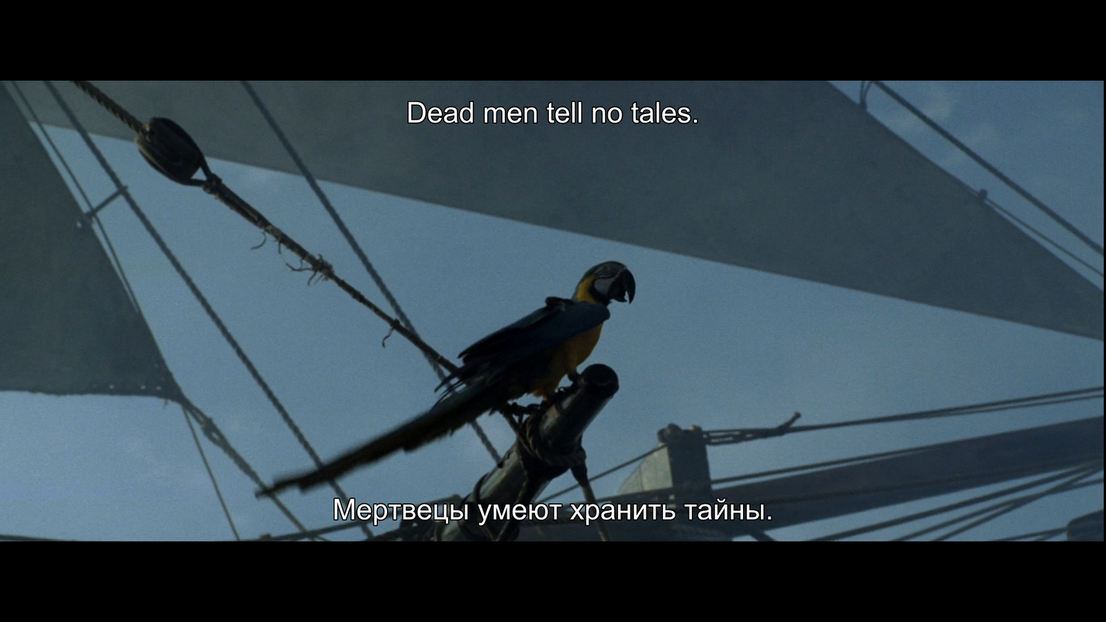 I watched the first Pirates of the Caribbean, saw a reference to the title of the new movie - Pirates of the Caribbean 5, Pirates of the Caribbean, A parrot, Пасхалка