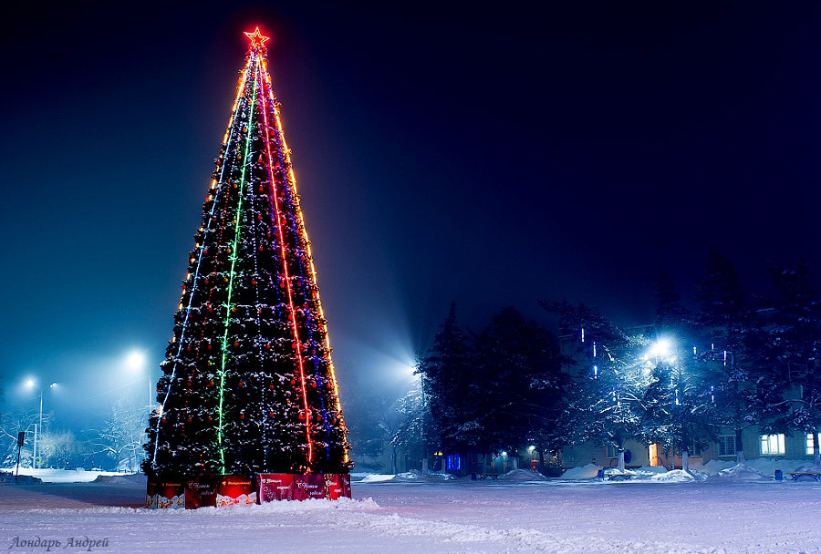 New Year's Eve in a small town - My, New Year, Christmas trees, Firework, Square, Holidays