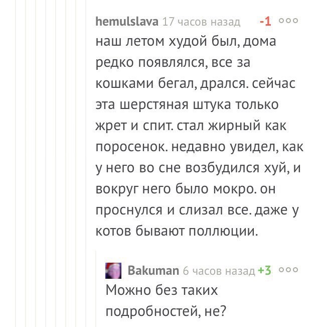 Когда никто не понимает твоих впечатлений - Комментарии, Кот, Непонимание