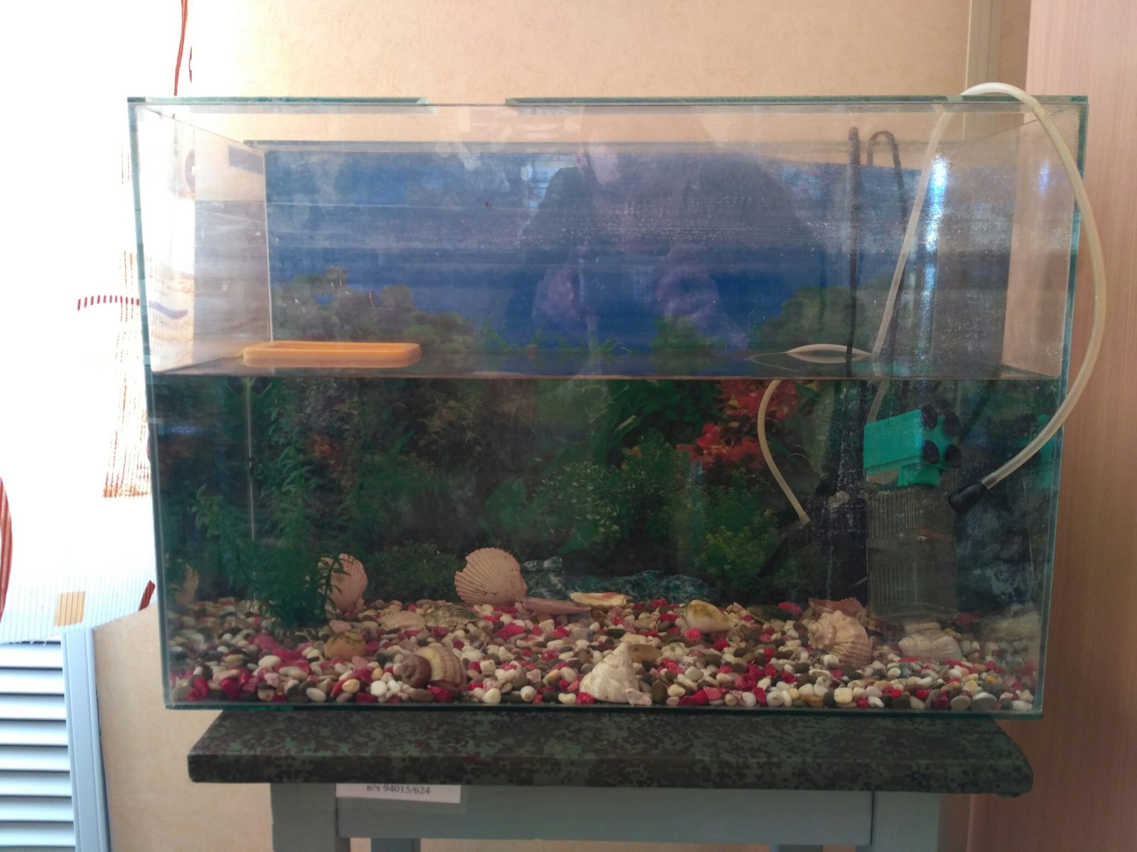 An aquarium has appeared in the leisure room of our military unit! - My, Aquarium fish, Army, Sergeant Major