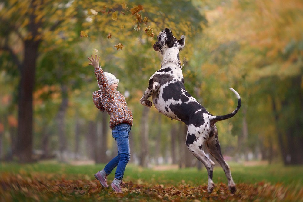 “Little children and their big dogs” — photo project by Andrey Seliverstov - Dog, Children, The photo, Longpost