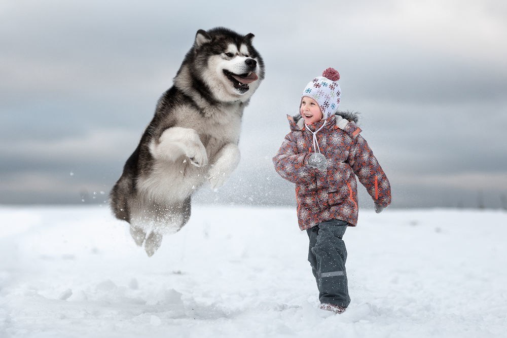 “Little children and their big dogs” — photo project by Andrey Seliverstov - Dog, Children, The photo, Longpost