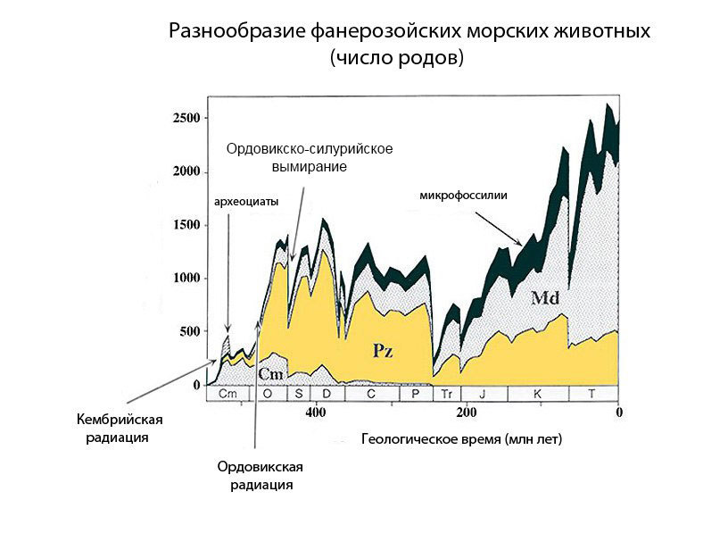 Ордовик. Темная сторона - Моё, Ордовик, Вымирание, Хирнантское оледенение, Палеонтология, Интересное, Длиннопост, Глобальное похолодание