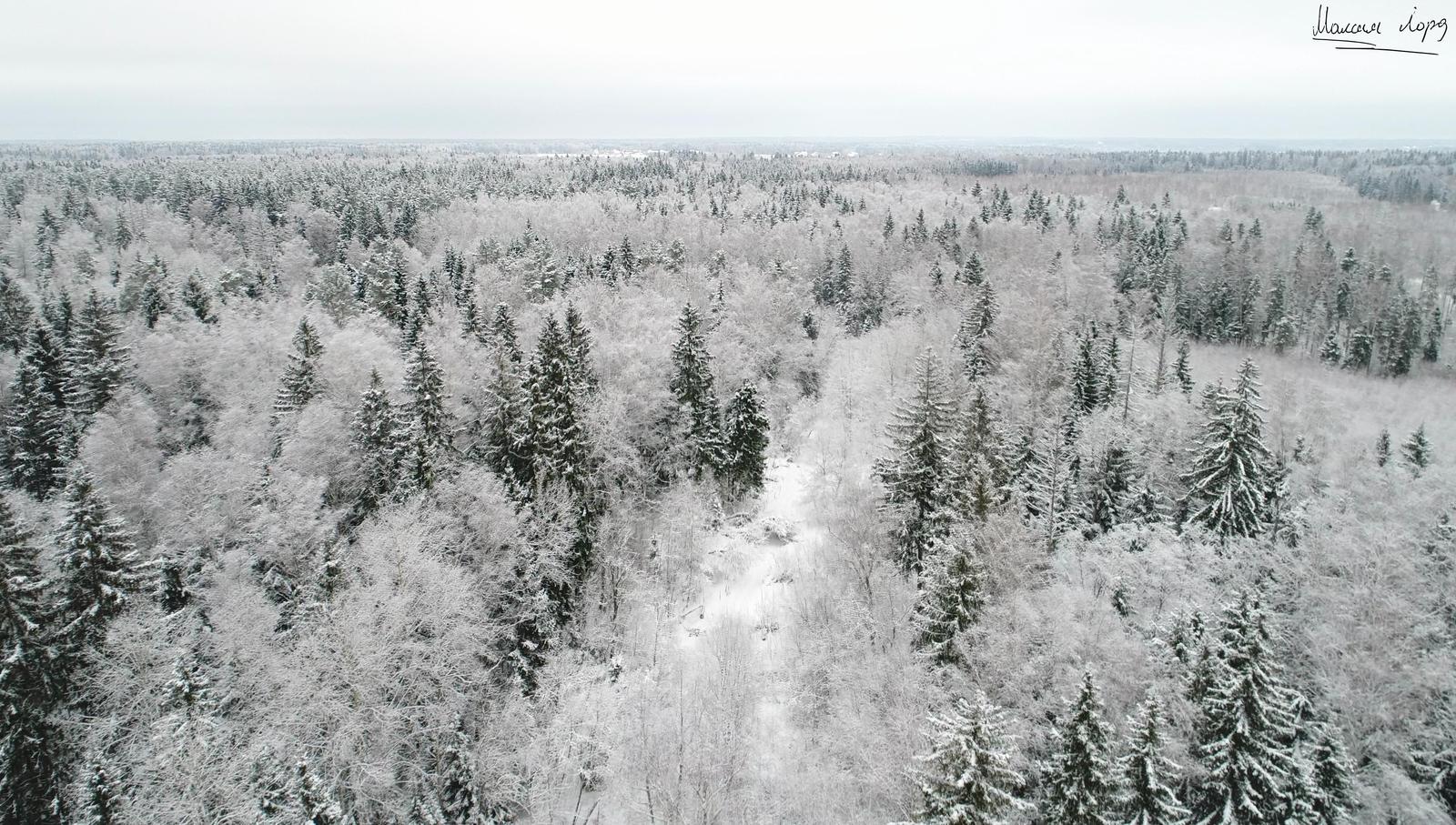 Зимний лес - Моё, Дрон, Квадрокоптер, DJI, Phantom 4, Фотография, Красота