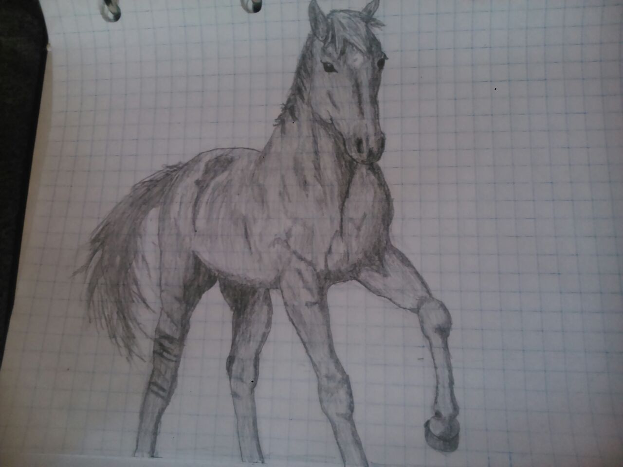 Horse - My, Art, Horses