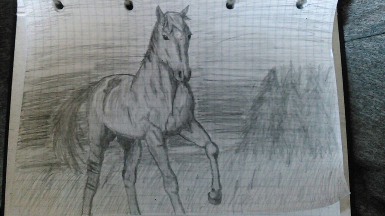 Horse - My, Art, Horses