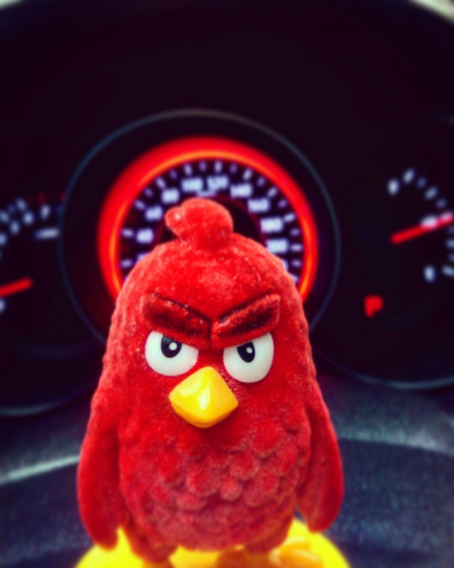 Insidious move - My, Angry Birds, GIF, Parking