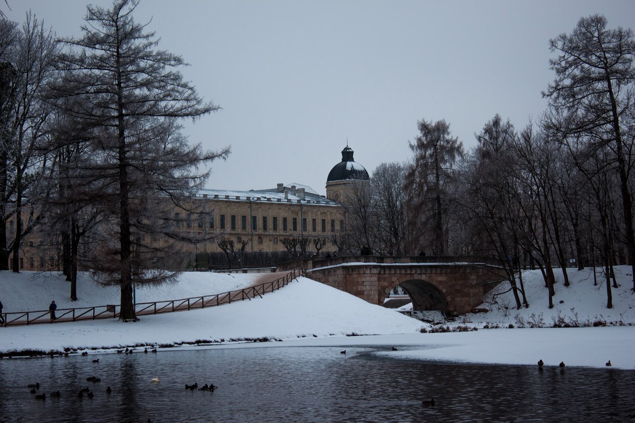 Gatchina near St. Petersburg - My, My, The photo, Winter, Gatchina, Hobby, Longpost