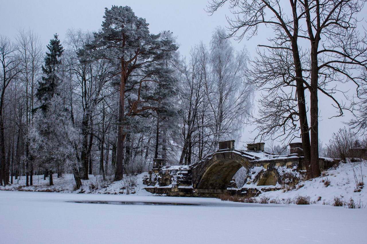 Gatchina near St. Petersburg - My, My, The photo, Winter, Gatchina, Hobby, Longpost