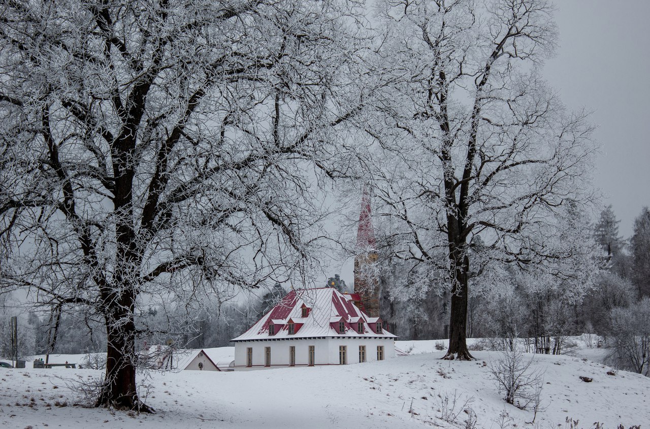 Gatchina near St. Petersburg - My, My, The photo, Winter, Gatchina, Hobby, Longpost