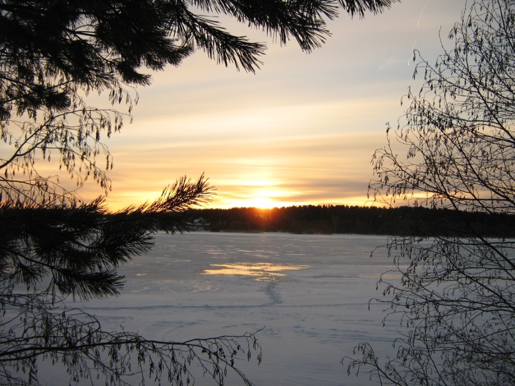 Winter in the Tver region - My, Winter, Tver region, Snowdrift, Forest, Walk, Longpost