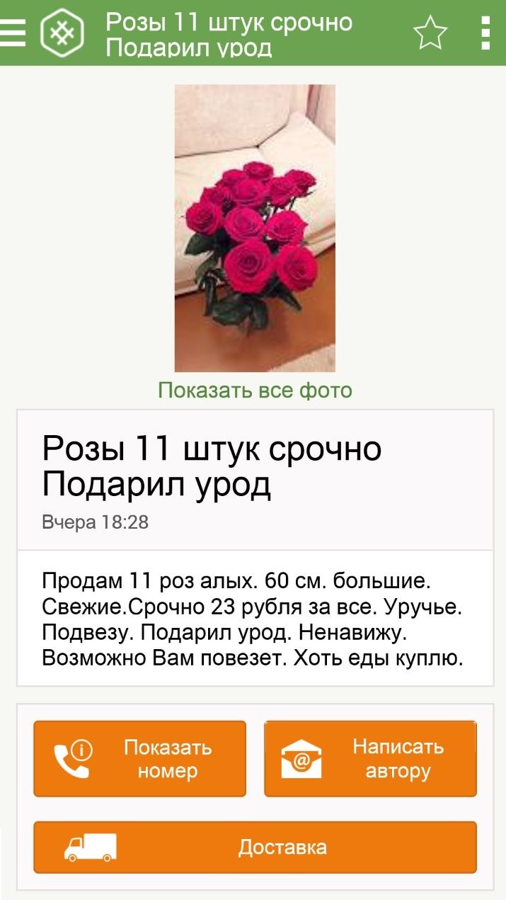 Roses - the Rose, Avito, Koufar, Freaks, Food