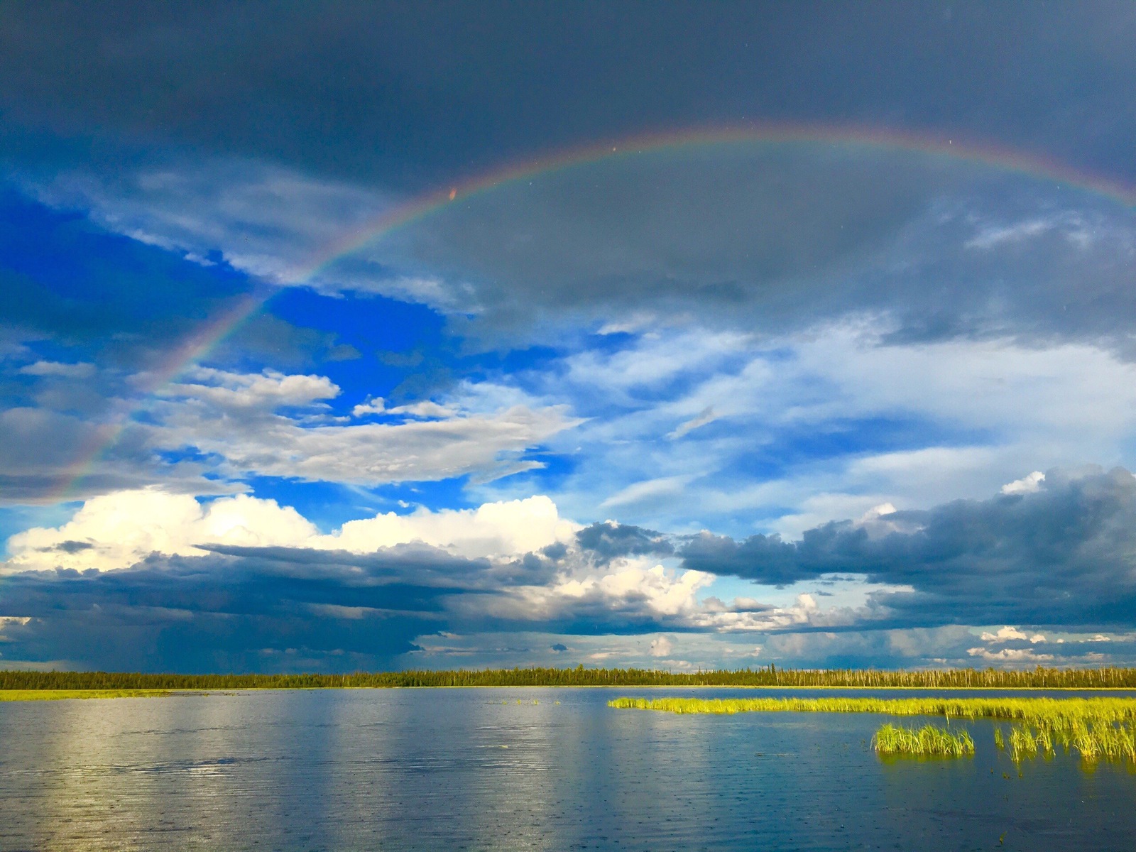 Here are some colors in the ribbon) - My, Karelia is my summer nature, 