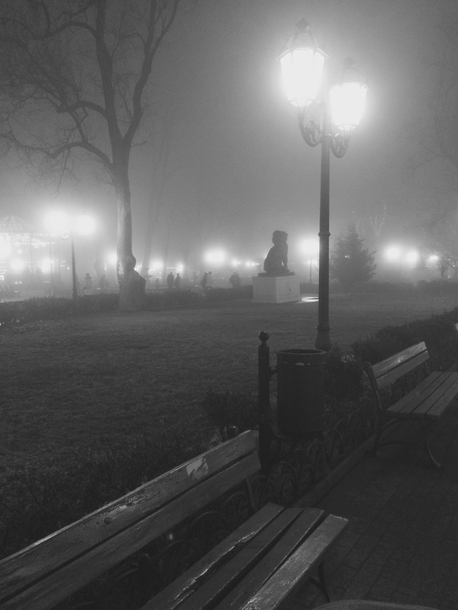 Foggy evening in the Odessa city garden) - My, Fog, Odessa, City Garden, Evening