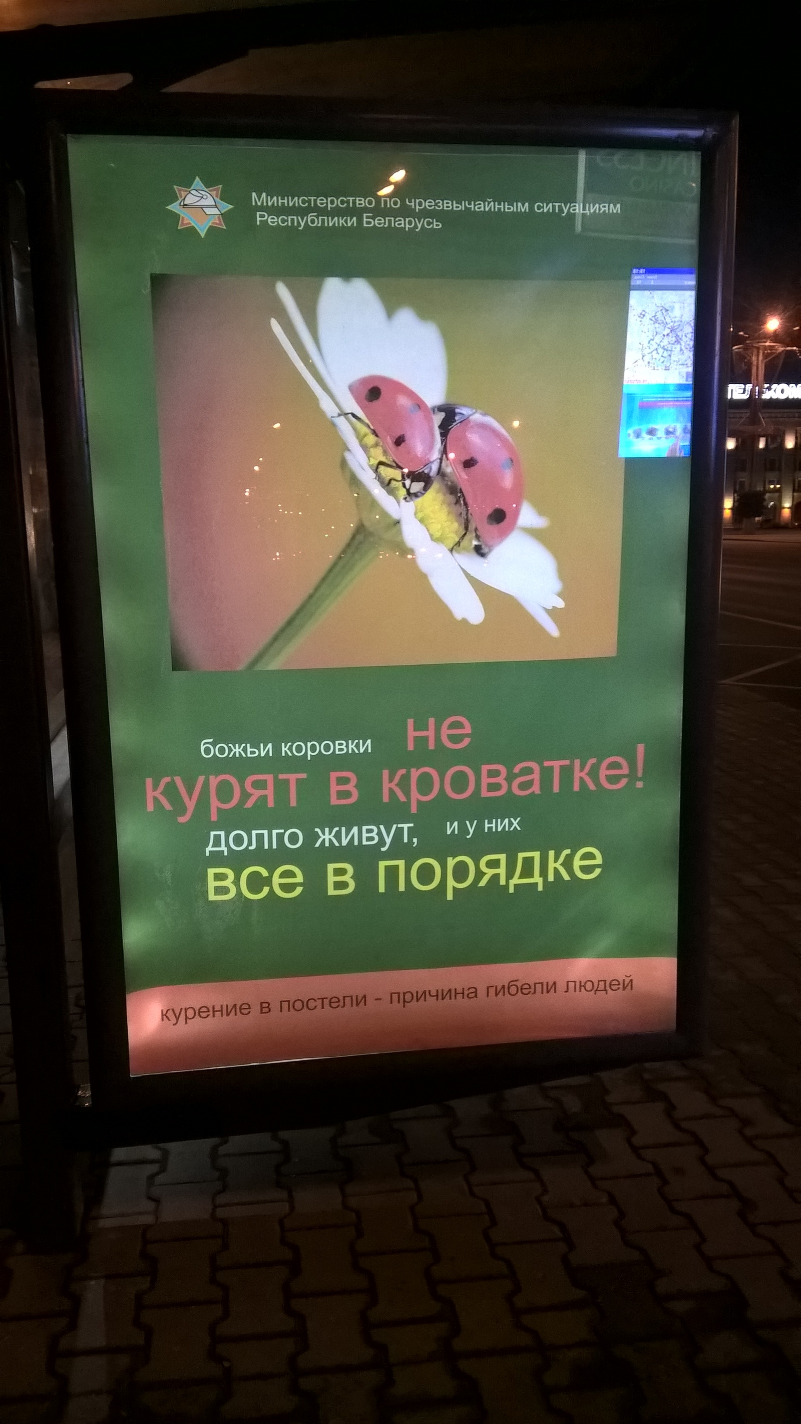 Не курите в кроватке :) - Моё, Минск, Республика Беларусь, Божья коровка, Борьба с курением, МЧС