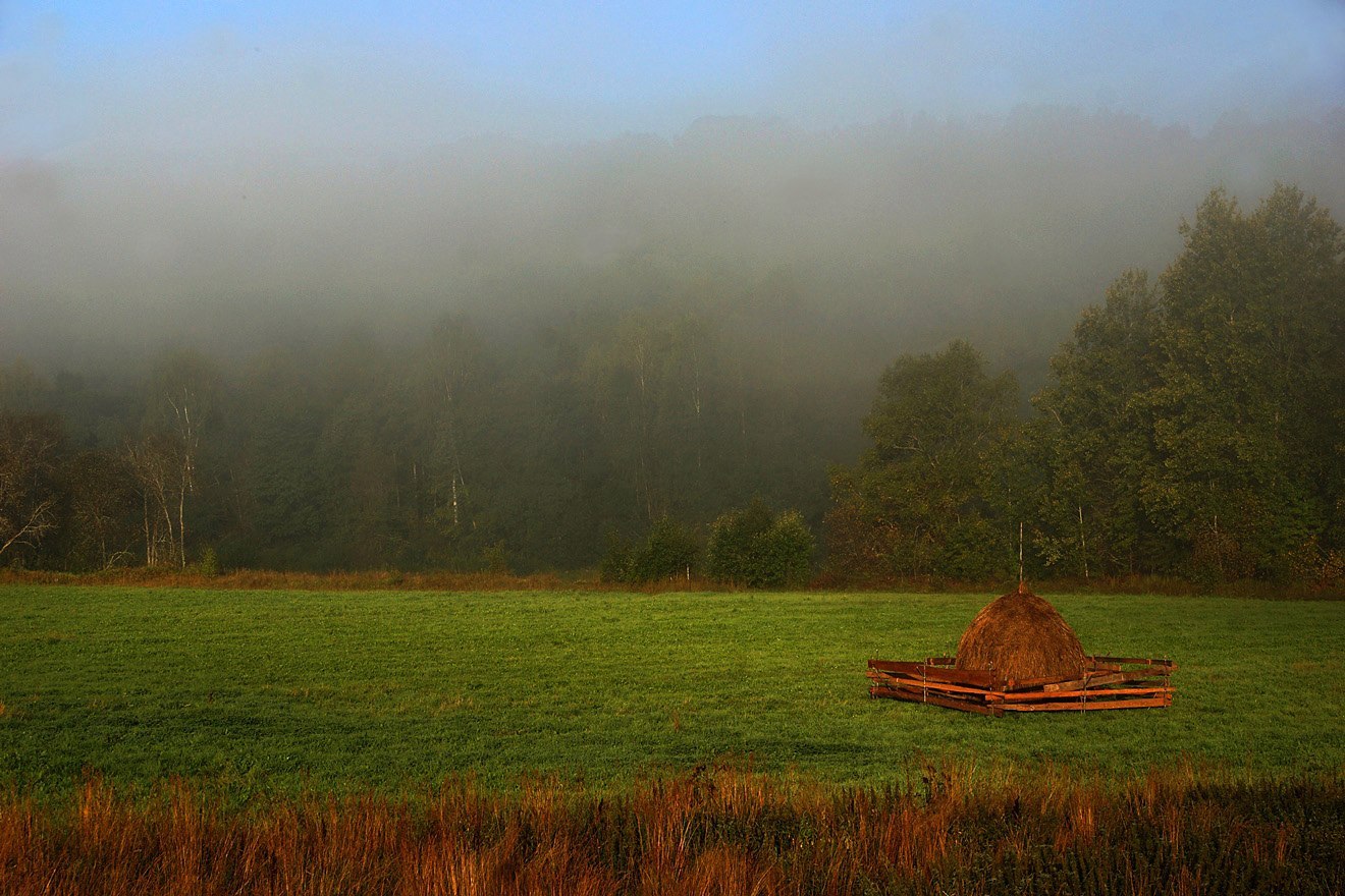 Veps forest - Veps forest, Leningrad region, Russia, Fog, Grace, The photo, Summer, Nature, Longpost