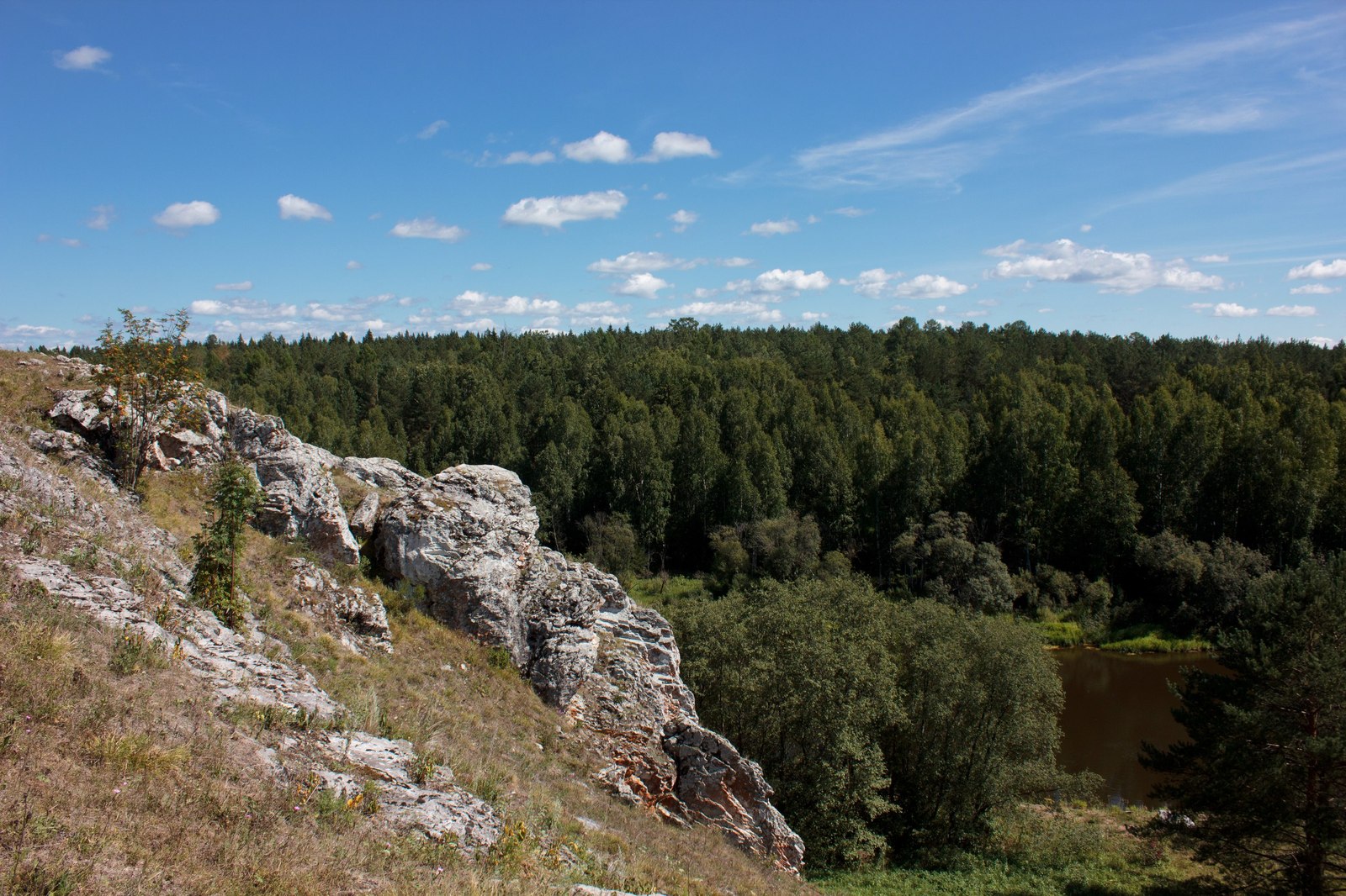 Гипножаба на р.Чусовая - Моё, Каменка, Чусовая, Длиннопост