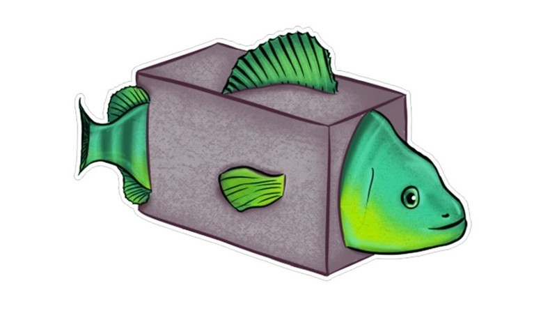 Cinder block! - Memes, , , , A fish, Fishing, Russia, 