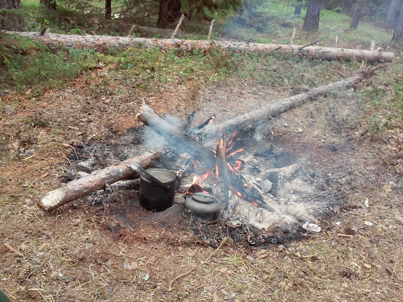 I want summer - My, Summer, Tver region, Tent, Hike, Volga, Winter, Longpost, Volga river