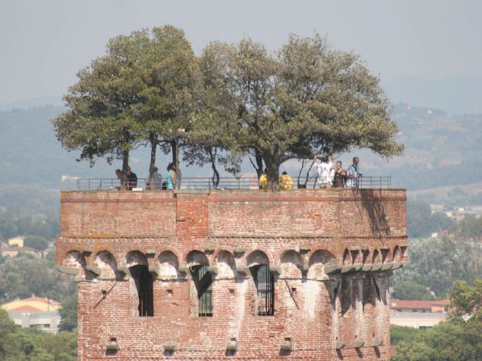 Oak garden at the top of the tower - Towers, Castle, Italy, Garden, Tree, Oak, Longpost