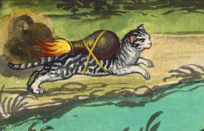 Medieval tactics: how affectionate purrs were turned into military weapons - League of Historians, , cat, Longpost