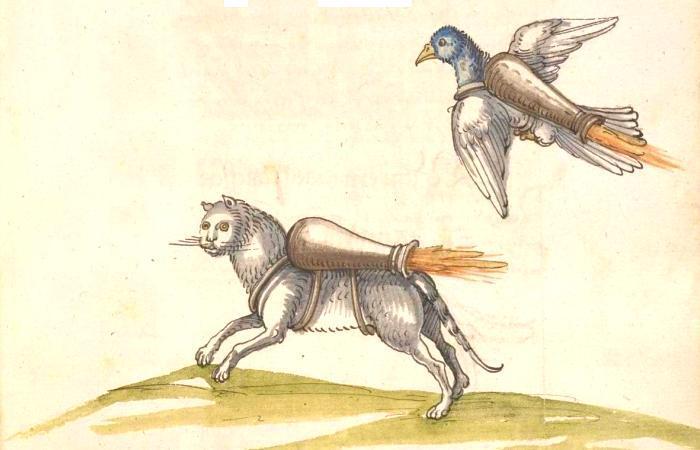 Medieval tactics: how affectionate purrs were turned into military weapons - League of Historians, , cat, Longpost