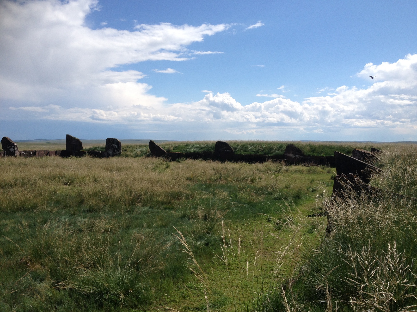 Valley of the Kings - My, Clouds, Khakassia, The mountains, Mound, Steppe, Valley of the Kings, Birds, Longpost