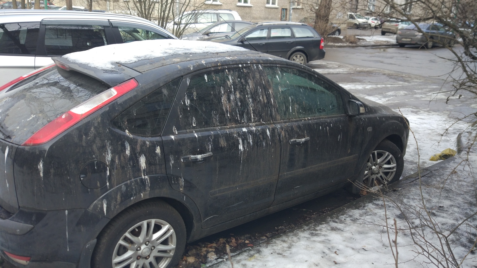 When I parked in someone else's territory - My, Pigeon, , Saint Petersburg, Parking, Do not do like this