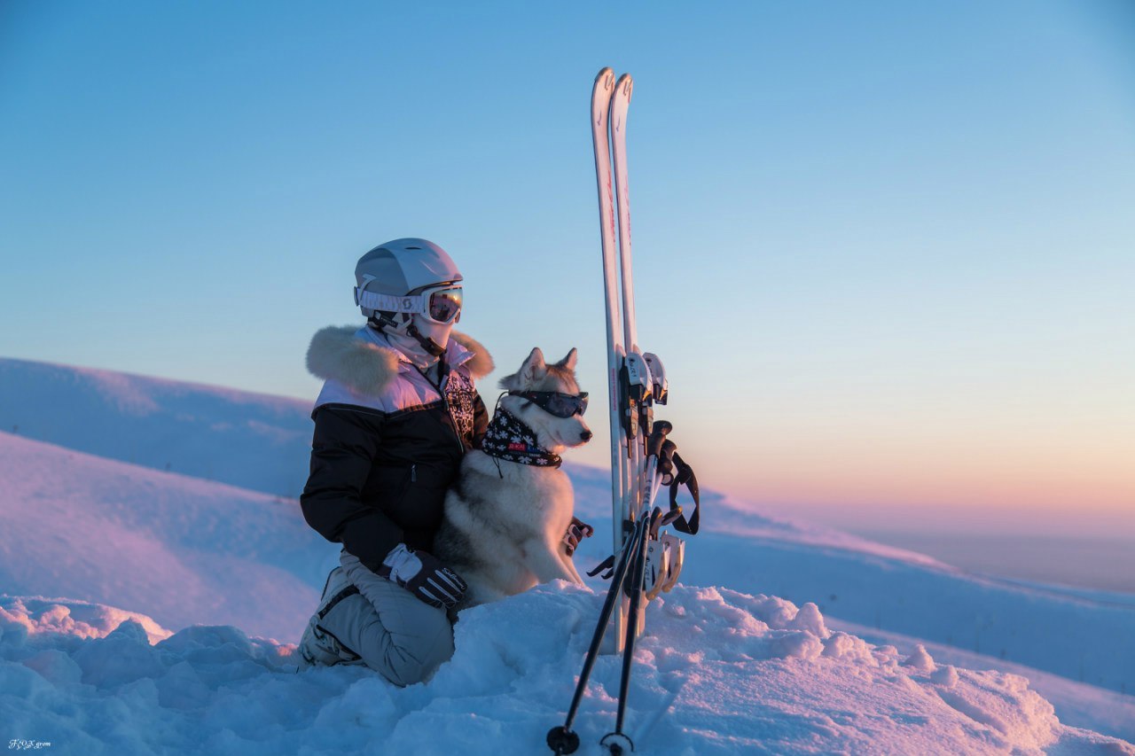 Downhill from the Husky - The photo, Winter, Snow, Skis, Dog, Husky, Murmansk region, Khibiny, Longpost