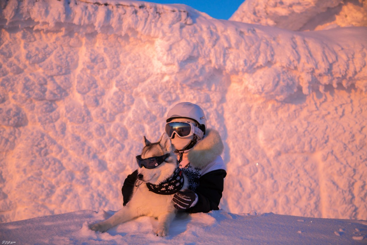 Downhill from the Husky - The photo, Winter, Snow, Skis, Dog, Husky, Murmansk region, Khibiny, Longpost