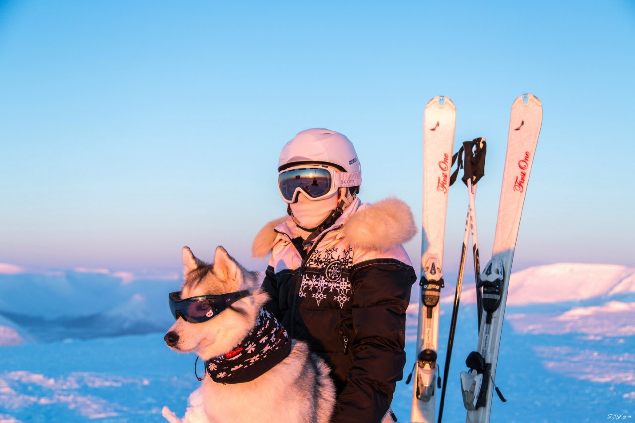 Downhill from the Husky - The photo, Winter, Snow, Skis, Dog, Husky, Murmansk region, Khibiny, Longpost