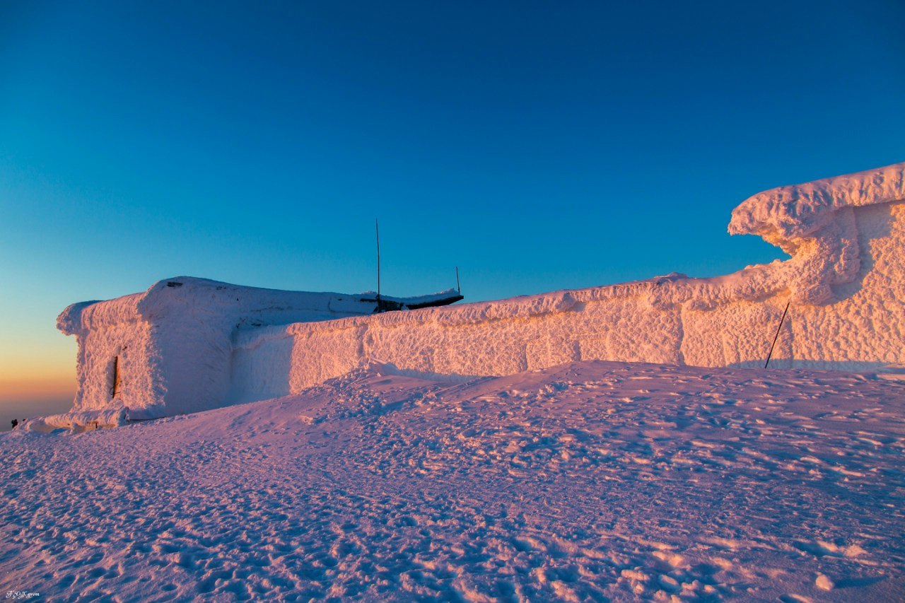 Downhill from the Husky - The photo, Winter, Snow, Skis, Dog, Husky, Murmansk region, Khibiny, Longpost