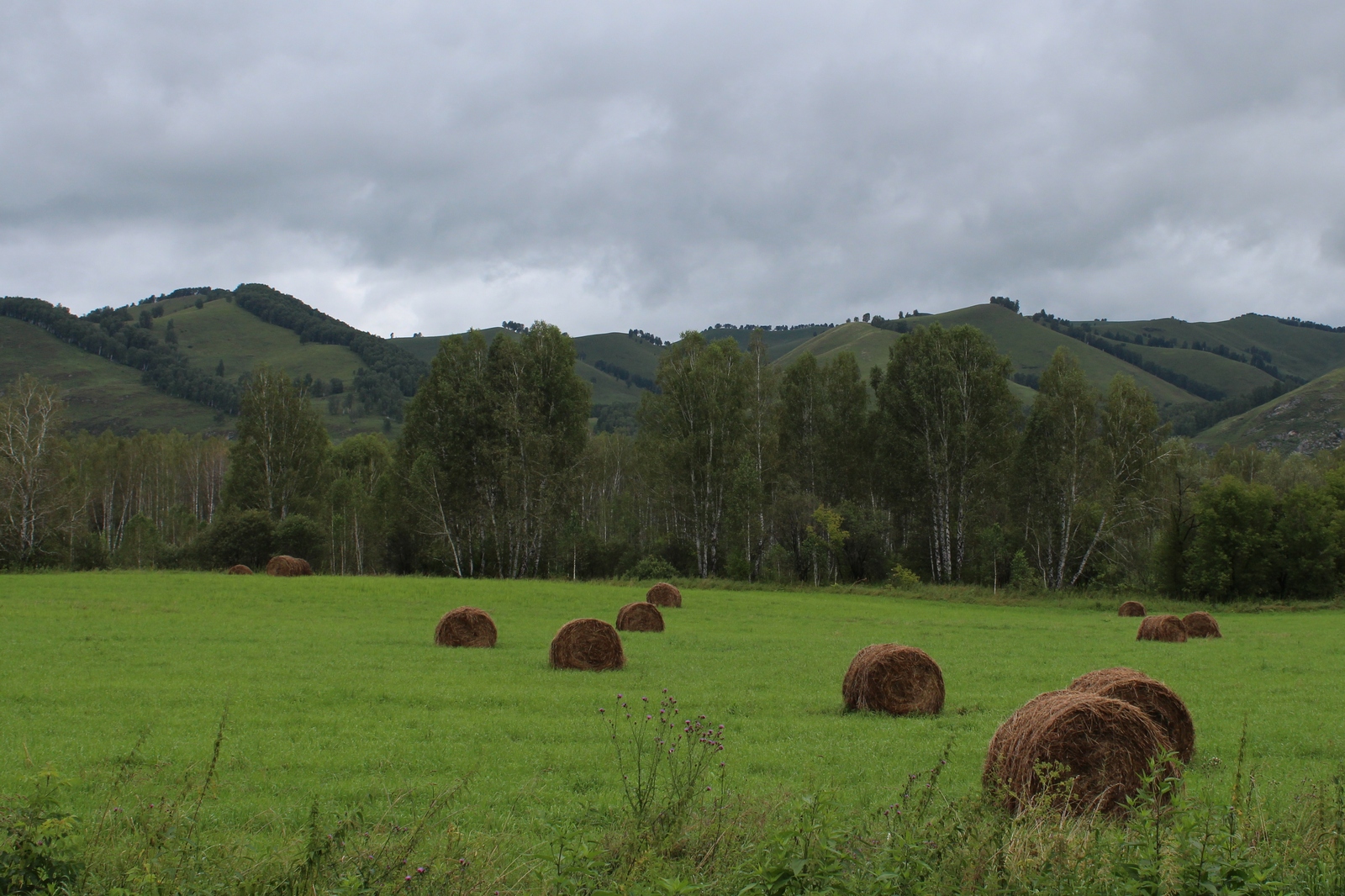 A story about a trip to Baikal, day 4 - Gorny Altai - My, , Road trip, Altai, Longpost, Altai Republic