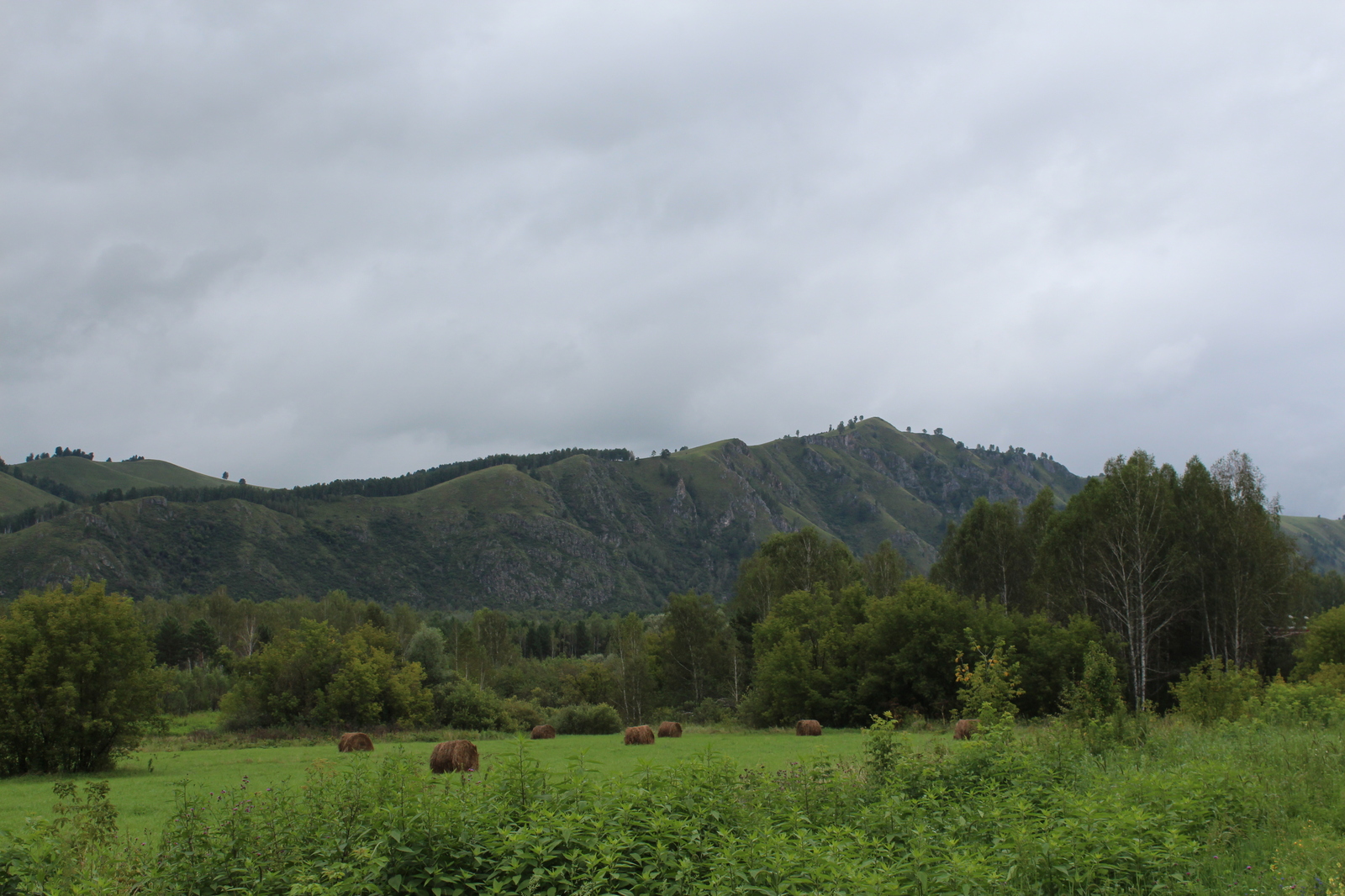 A story about a trip to Baikal, day 4 - Gorny Altai - My, , Road trip, Altai, Longpost, Altai Republic