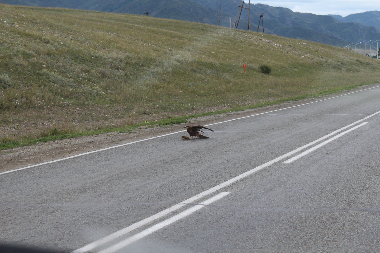 A story about a trip to Baikal, day 4 - Gorny Altai - My, , Road trip, Altai, Longpost, Altai Republic