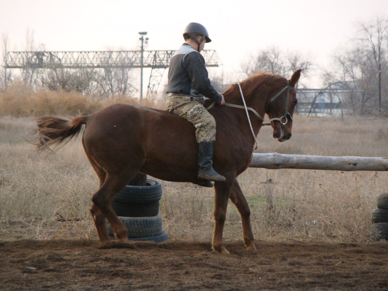 Horse characters - My, Horses, Horses, Character, Upbringing, Longpost