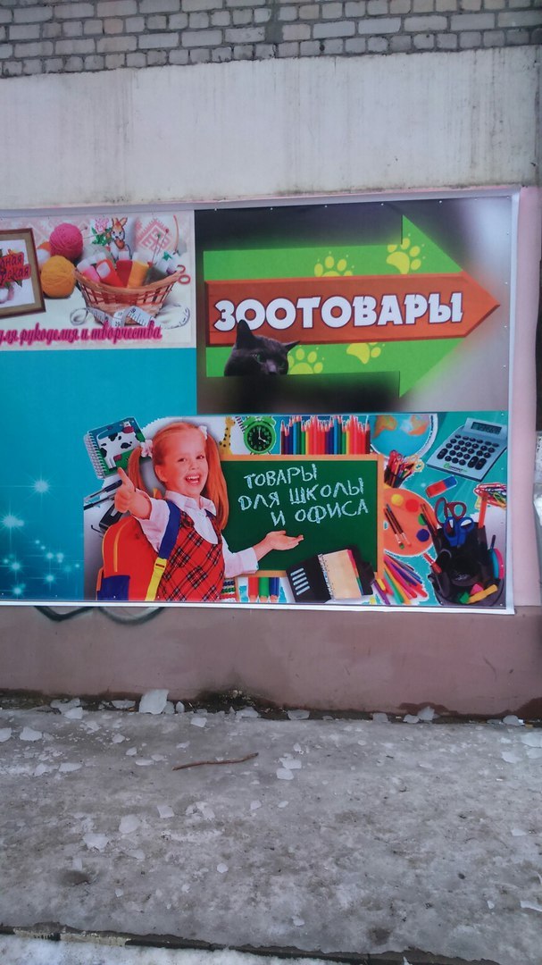 Pet supplies for school and office! - My, Bryansk, Supermarket, Synonym