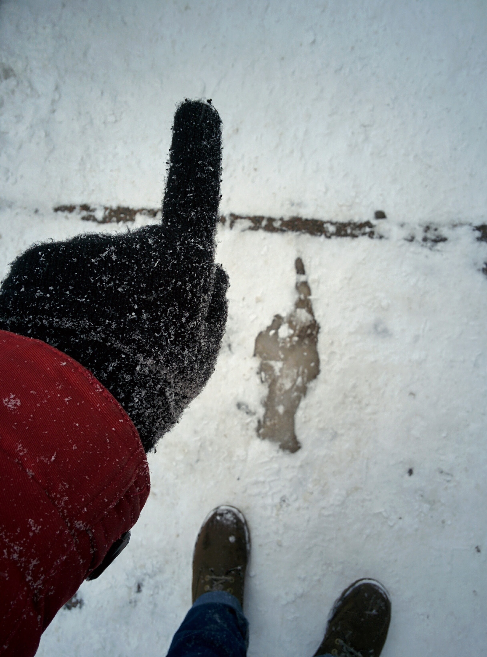 how do I get to the library? - My, Snow, Winter, Ice, Signs