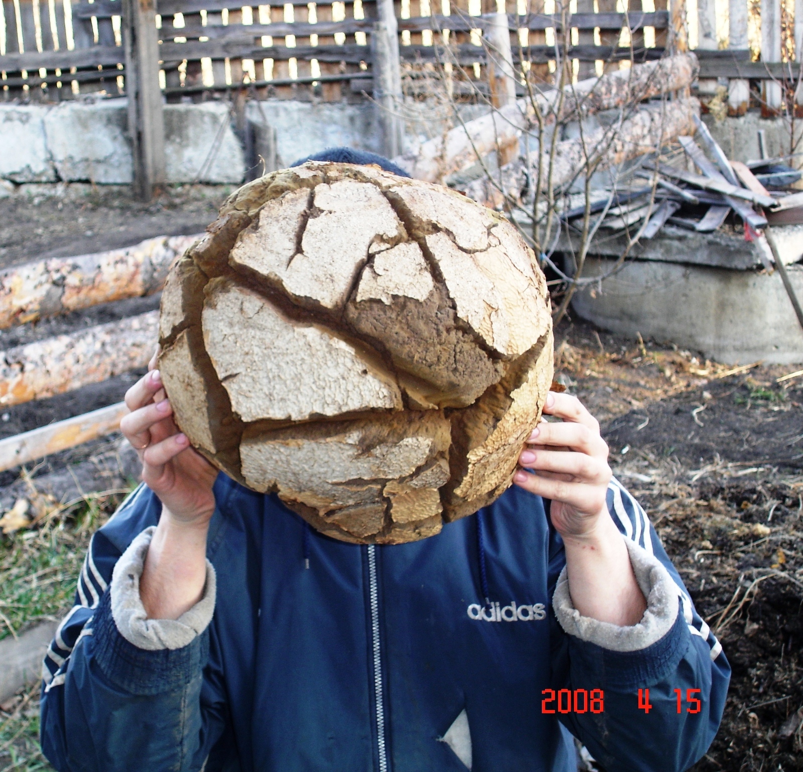 Mushroom. - My, Mushrooms, Nature