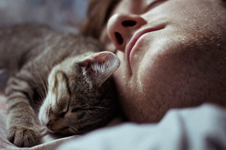 Для чего кошки ложатся спать с хозяевами? | Пикабу