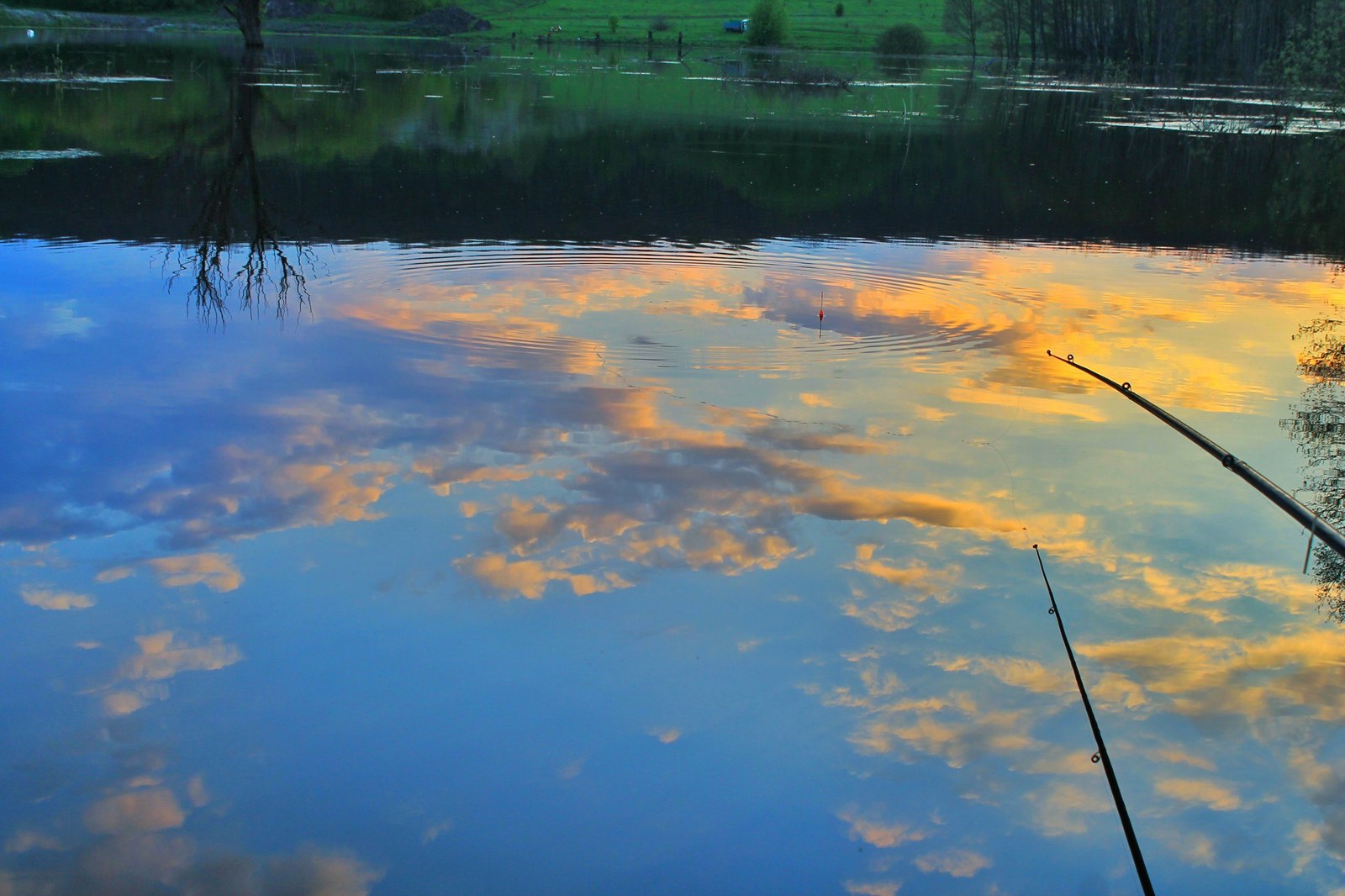 Selivanovo village, Valuysky district, Belgorod region - My, Russia, Nature, The photo, Fishing, The nature of Russia