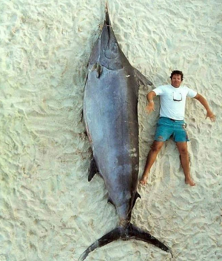 Mega catch) - A fish, The photo, Catch, Fishing