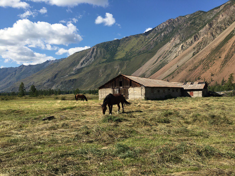 Altai - My, Altai, The photo, Landscape, Travel across Russia, Longpost, Altai Republic