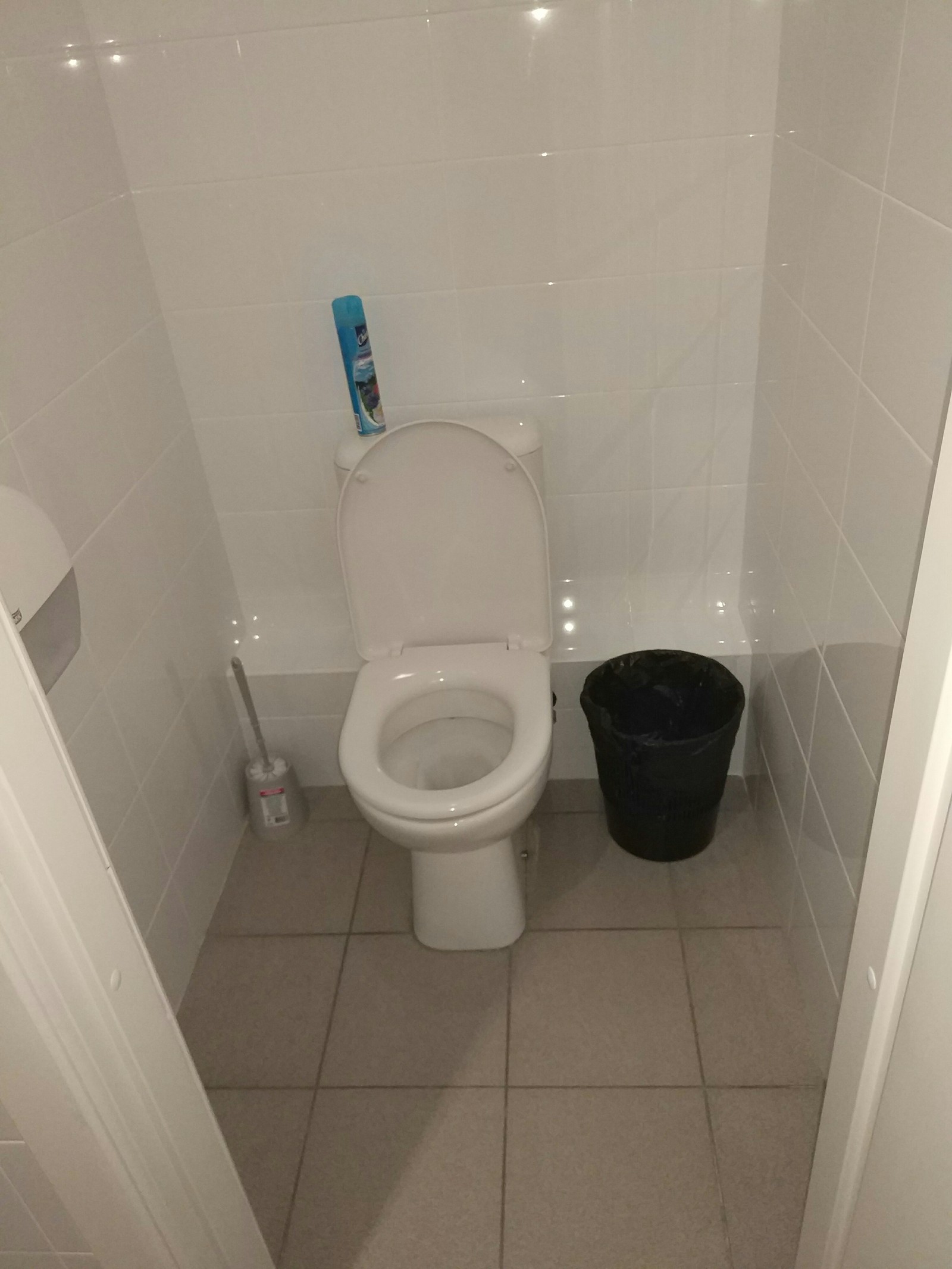 Usability of washrooms - My, Toilet, Usability, Cleaning, Bin, Longpost