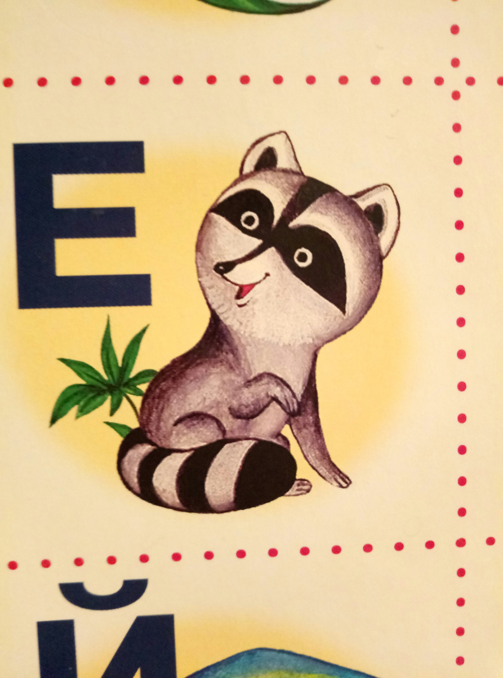 Children's alphabet - Raccoon, ABC, Rock, Children's literature, Alphabet