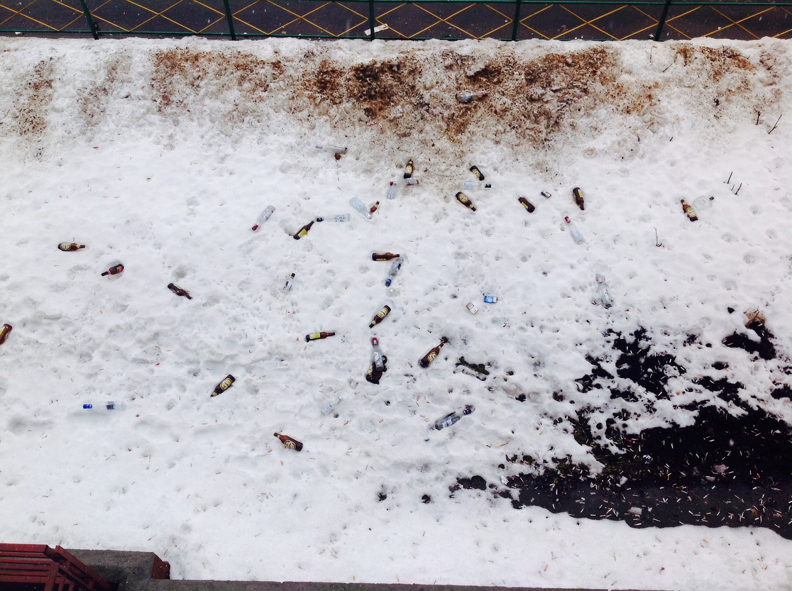 Pig people among us - Spring, Nonhumans, Neighbours, Bottle, Garbage, Snow, Dirt, Biological waste