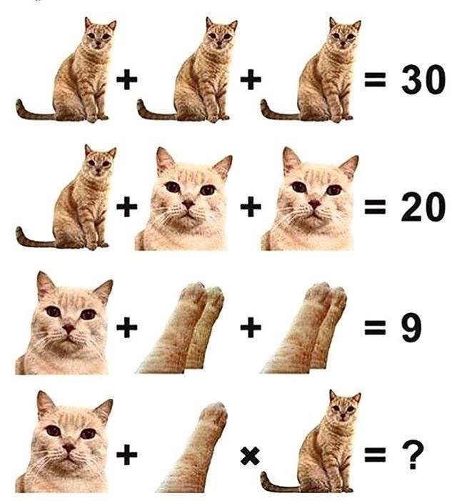 cat tumbler - cat, Головоломка, Mathematics, Rebus