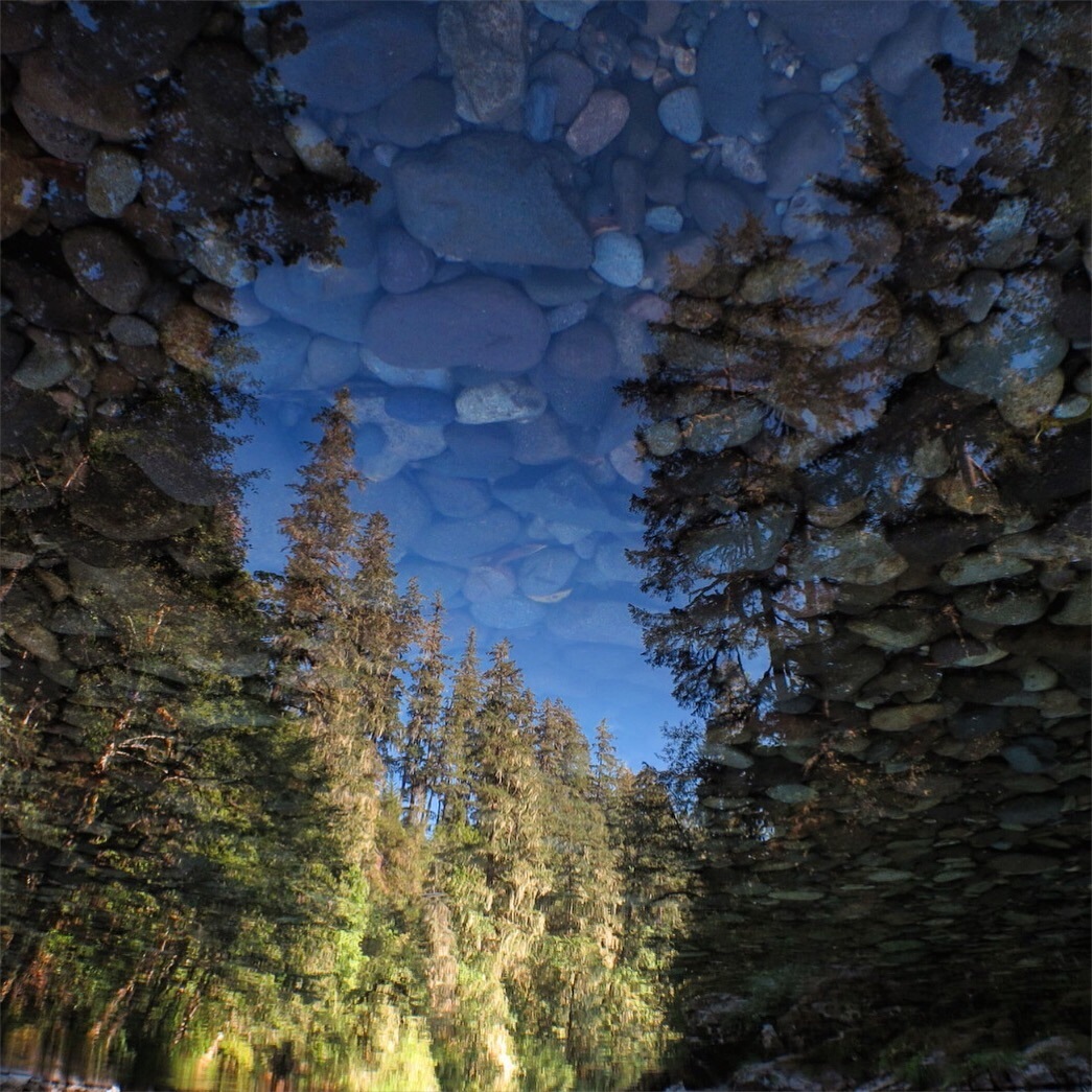 Stone sky or forest in reflection - Nature, The photo, Reflection